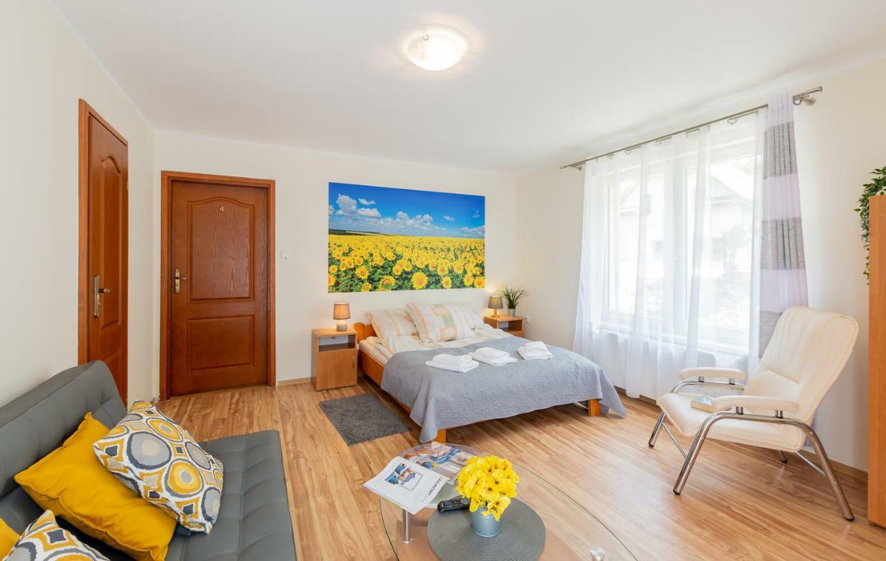 Apartament I Pokoje Goscinne U Lusi Висла Екстериор снимка