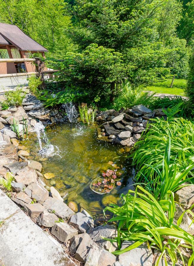 Apartament I Pokoje Goscinne U Lusi Висла Екстериор снимка