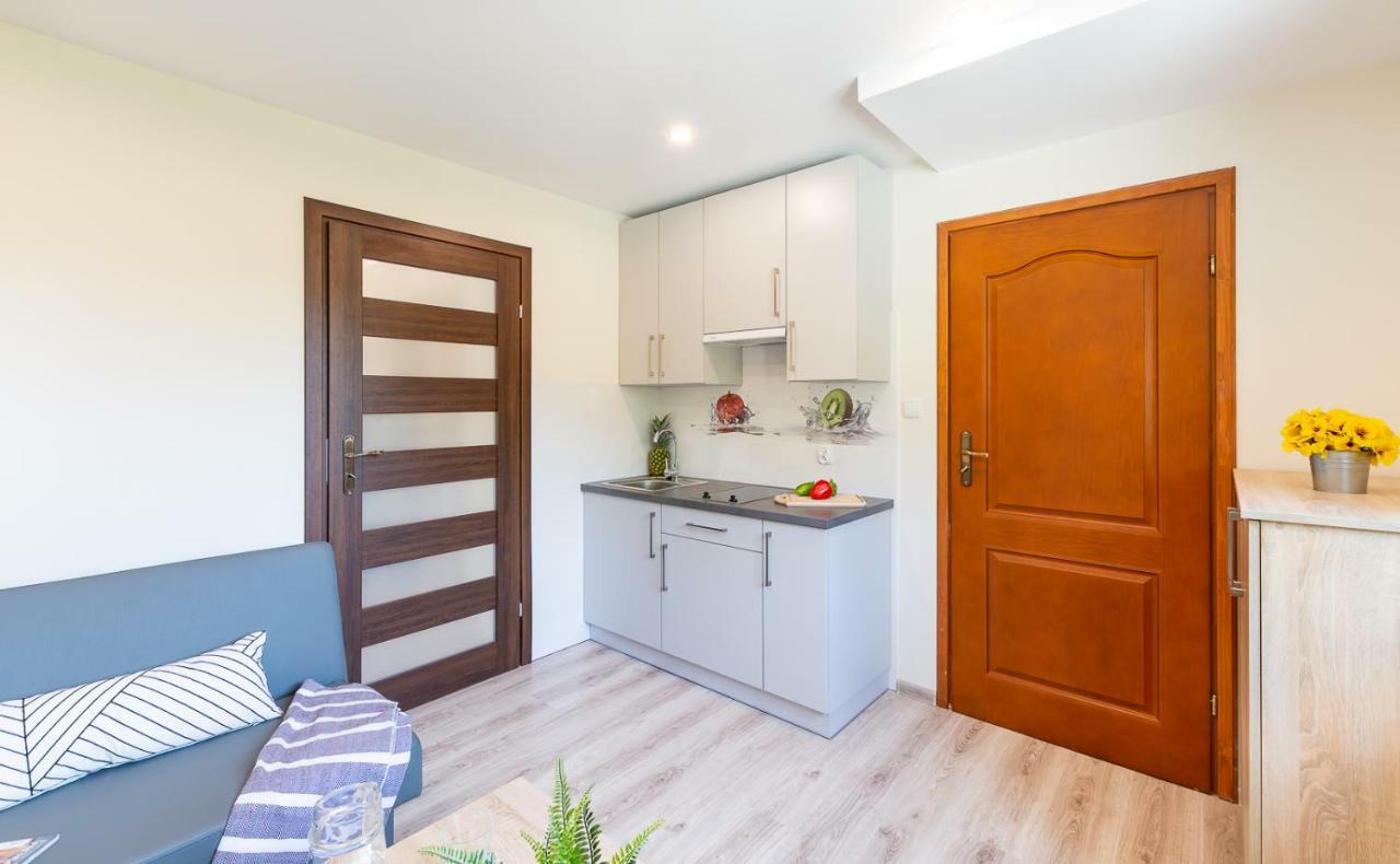 Apartament I Pokoje Goscinne U Lusi Висла Екстериор снимка